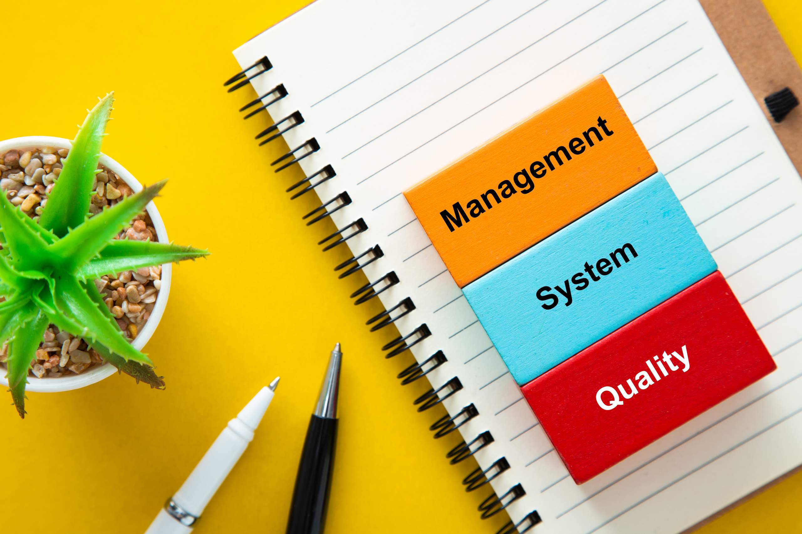A Guide on How to Create a Task Management System That Works